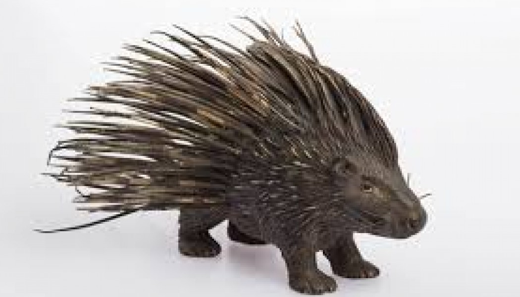 Evan Malater & Cecilia Wu: Pass the Porcupine – Freud, Porcupines and You